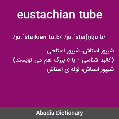 معنی eustachian tube